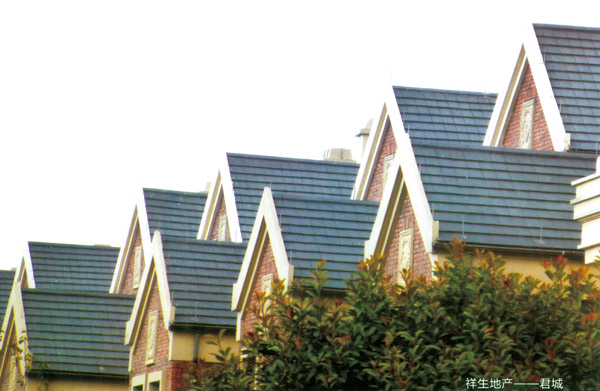 祥生地產-君城案例